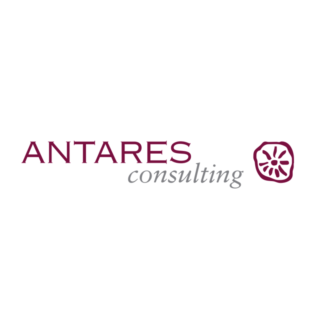 Antares Consulting